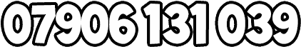 07906131039